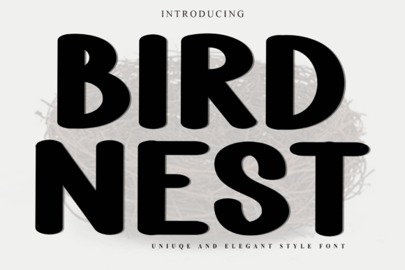 Bird Nest: A Unique Display Font for Creative Projects