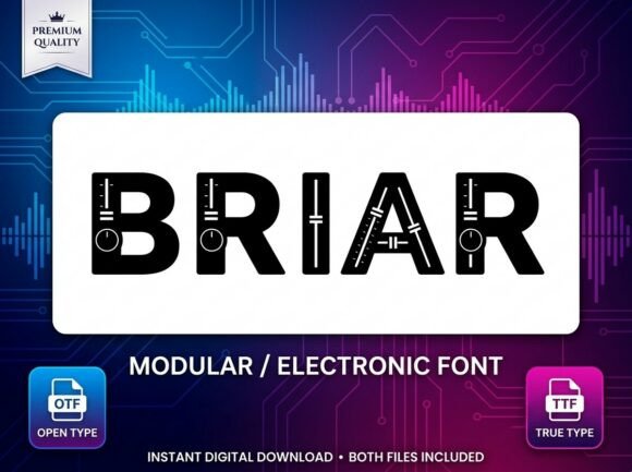 Briar: A High-Voltage Display Typeface for Bold Editorial Design